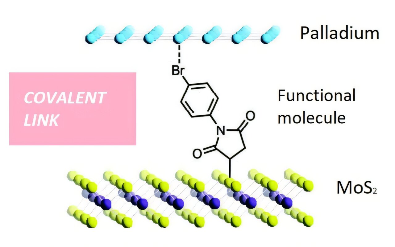 Covalent bonds between 2D materials unlock enhanced optoelectronic capabilities